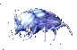 Ethereal Giant Beetle
